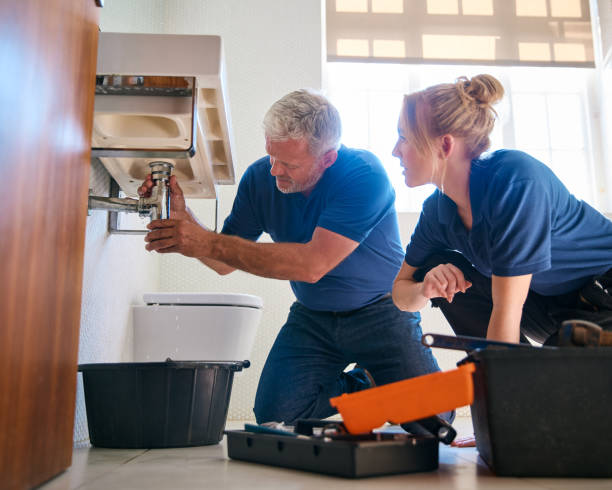 Best Clogged Drain Plumber  in Burleson, TX